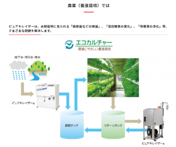 溶液栽培、いちご栽培、野菜工場、水耕栽培、野菜洗浄