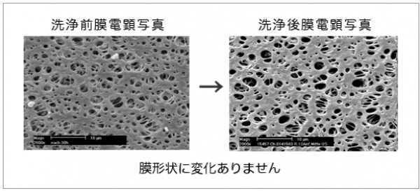 フィルター再生　顕微鏡画像